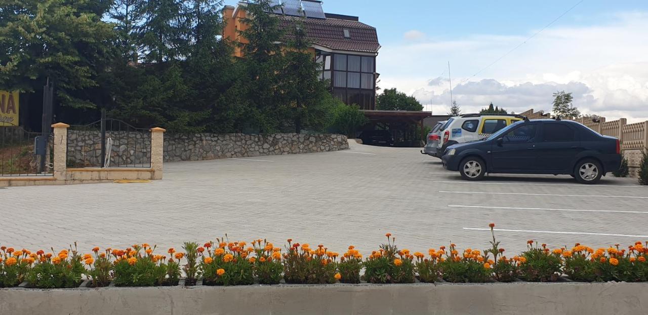 Pensiunea Carmena Băile Felix Buitenkant foto