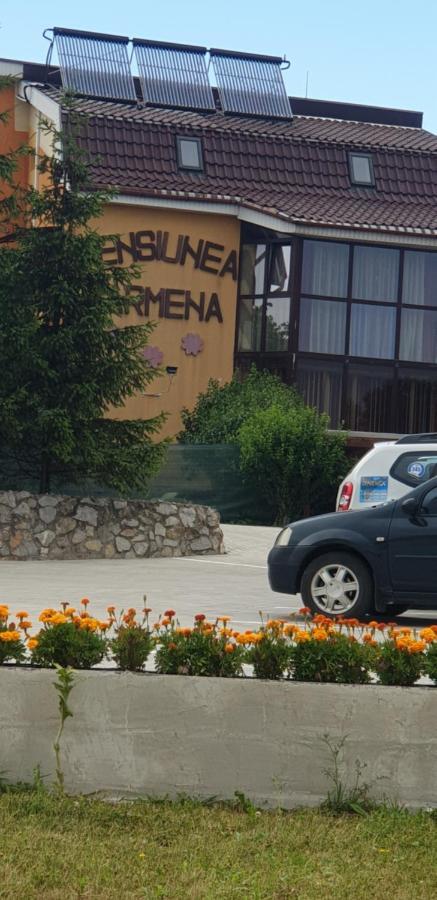 Pensiunea Carmena Băile Felix Buitenkant foto