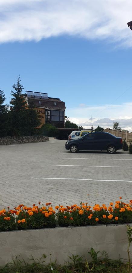 Pensiunea Carmena Băile Felix Buitenkant foto