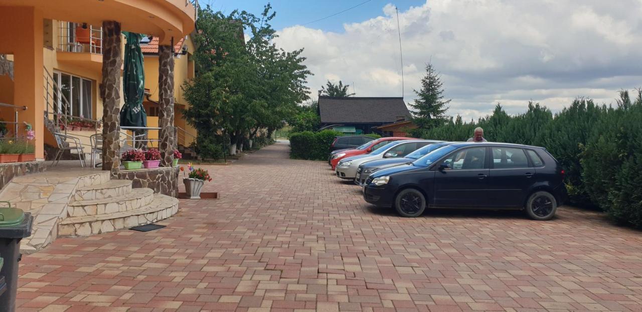 Pensiunea Carmena Băile Felix Buitenkant foto