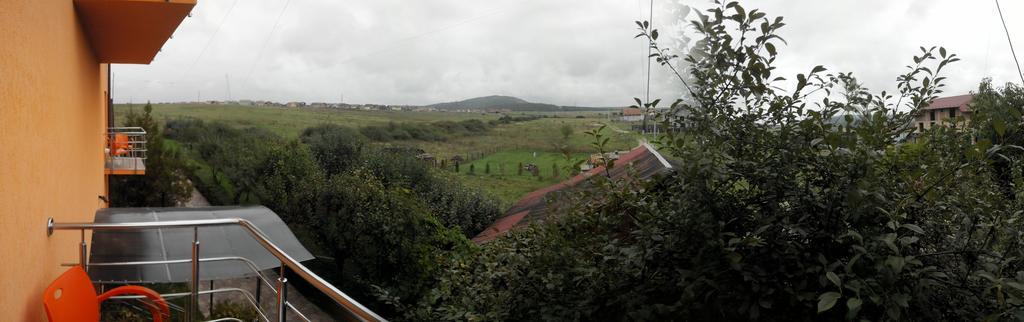 Pensiunea Carmena Băile Felix Buitenkant foto